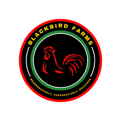 Channel Logo